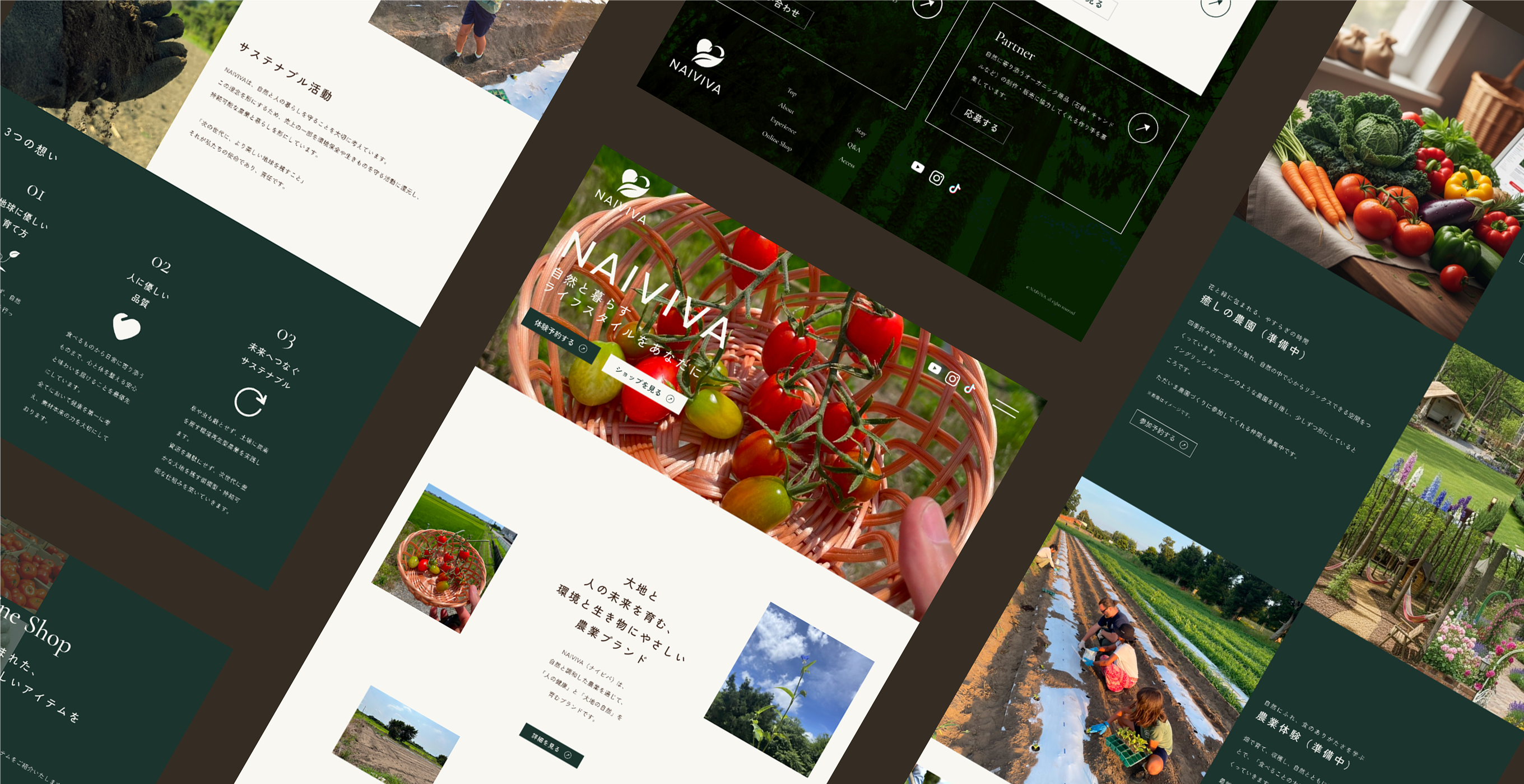 NAIVIVA公式サイトについて